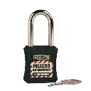 X-10 LOCKOUT (4).webp