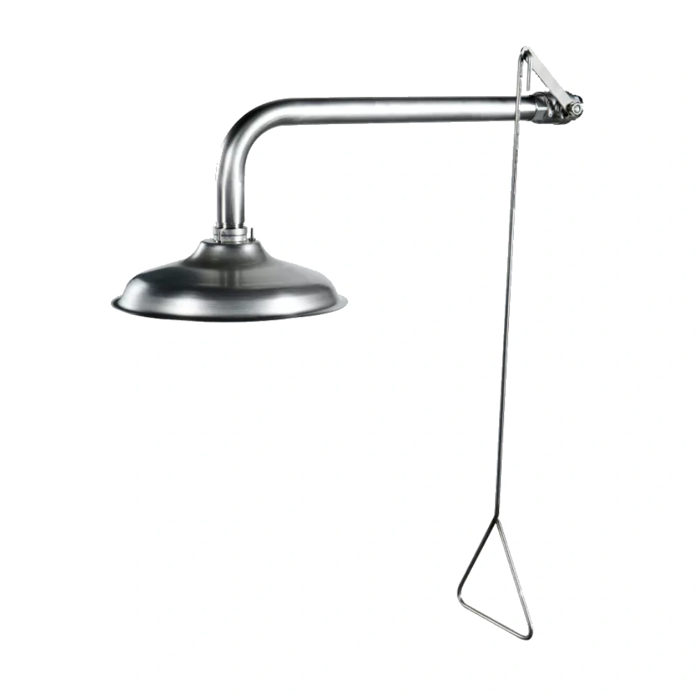 Haws C-009i Ducha de emergencia en acero inoxidable