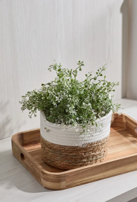 Vuao Canasta Biarritz