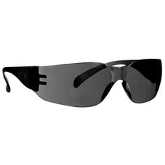 3M® Gafas de Protección para Exteriores 90954-BU10-NA, Armazón Gris/Lentes Transparentes Resistentes Antirasguños, 10 por...