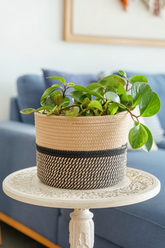 Vuao Canasta Hannover